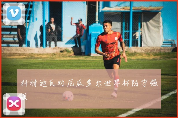 科特迪瓦对厄瓜多尔世界杯防守强度