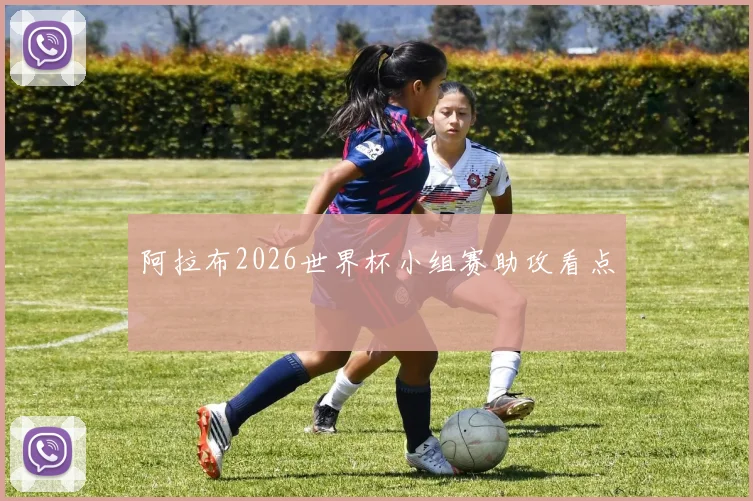 阿拉布2026世界杯小组赛助攻看点