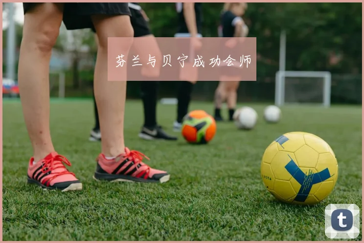 芬兰与贝宁成功会师
