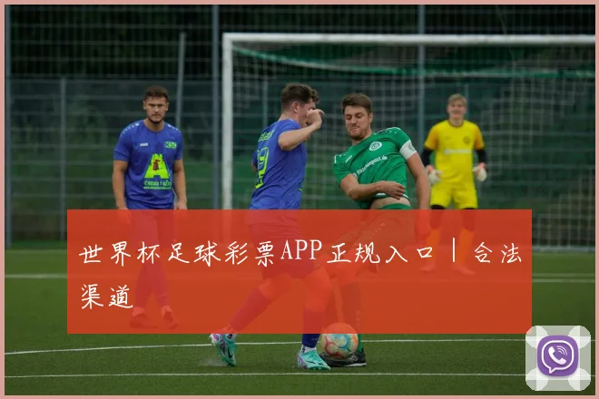 世界杯足球彩票APP正规入口｜合法渠道