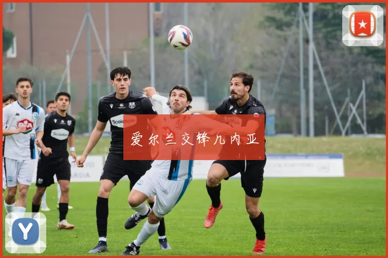 爱尔兰交锋几内亚