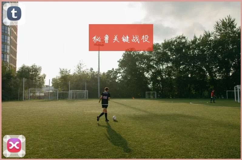 秘鲁关键战役