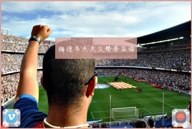 梅德韦杰夫交锋蒂亚福