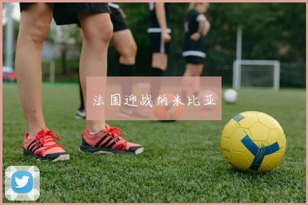 法国迎战纳米比亚