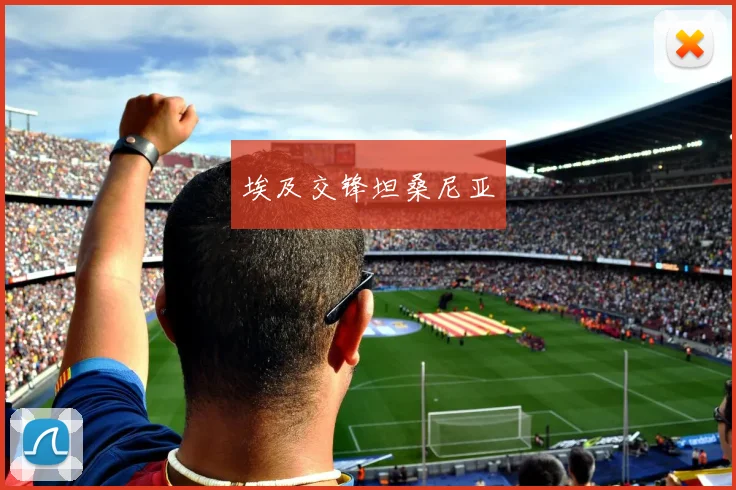 埃及交锋坦桑尼亚