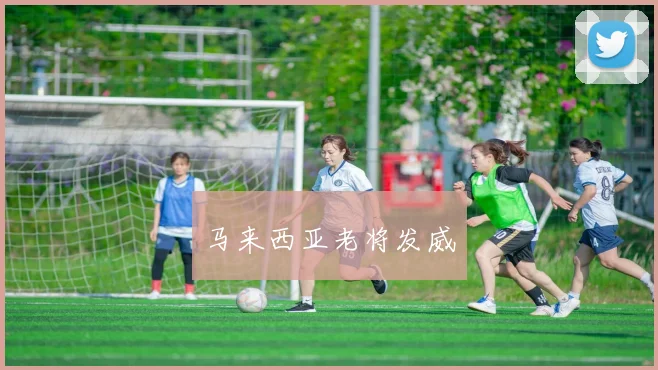 马来西亚老将发威