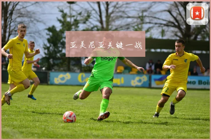亚美尼亚关键一战
