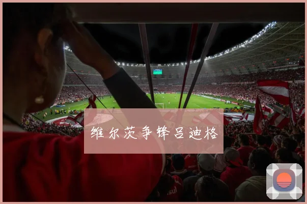 维尔茨争锋吕迪格