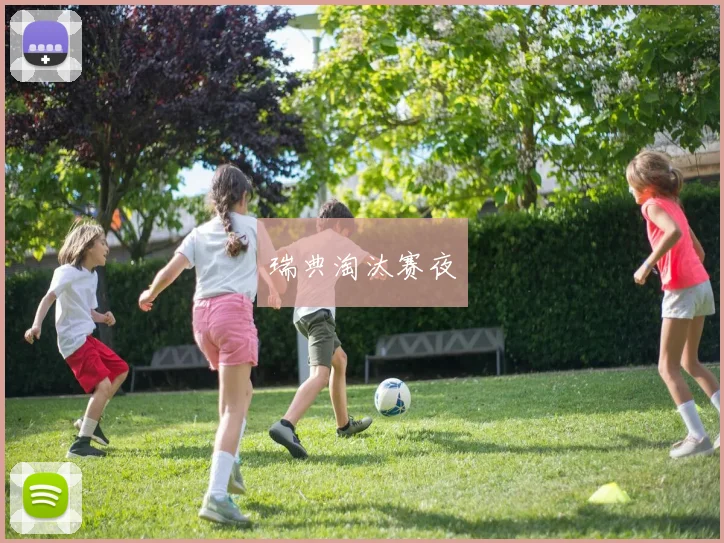 瑞典淘汰赛夜