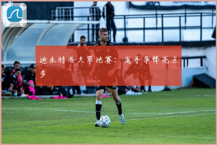 迪米特洛夫草地赛：高手争锋亮点多