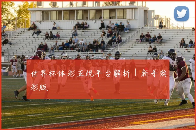 世界杯体彩正规平台解析｜新手购彩版