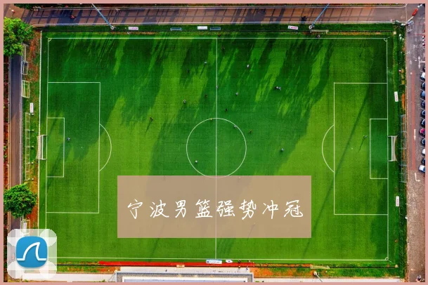 宁波男篮强势冲冠
