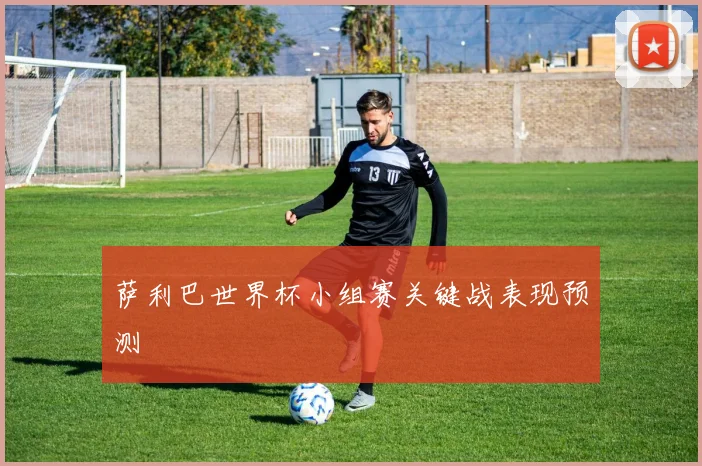 萨利巴世界杯小组赛关键战表现预测