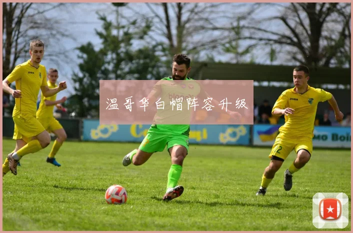 温哥华白帽阵容升级