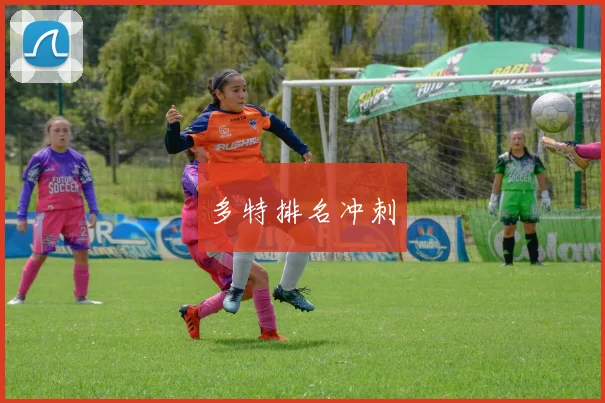 多特排名冲刺