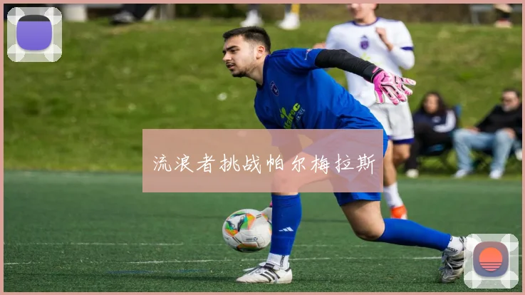 流浪者挑战帕尔梅拉斯