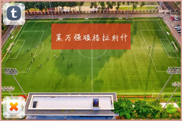 莱万强碰格拉利什
