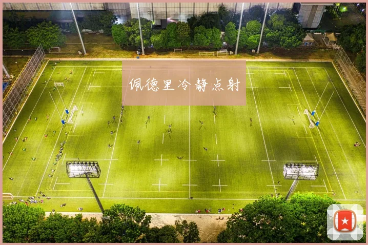 佩德里冷静点射