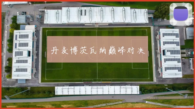 丹麦博茨瓦纳巅峰对决