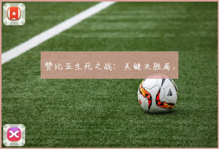 赞比亚生死之战：关键决胜局。