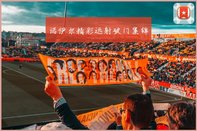 诺伊尔精彩远射破门集锦