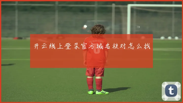 开云线上登录官方域名核对怎么找
