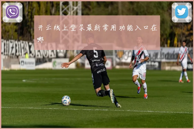 开云线上登录最新常用功能入口在哪